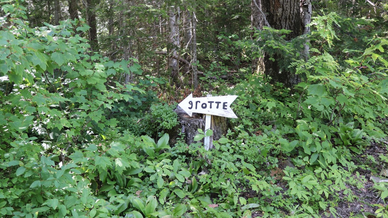 CPRN Réserve de biodiversité du Karst-de-Saint-Elzéar