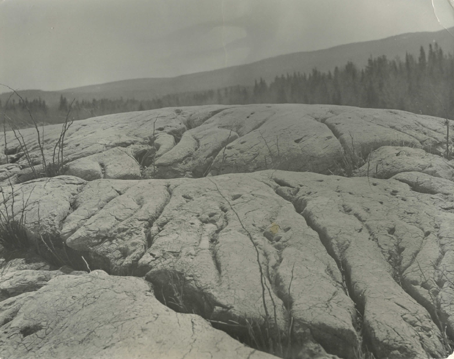 Archives de Spéléo Québec Lapiaz de La Rédemption