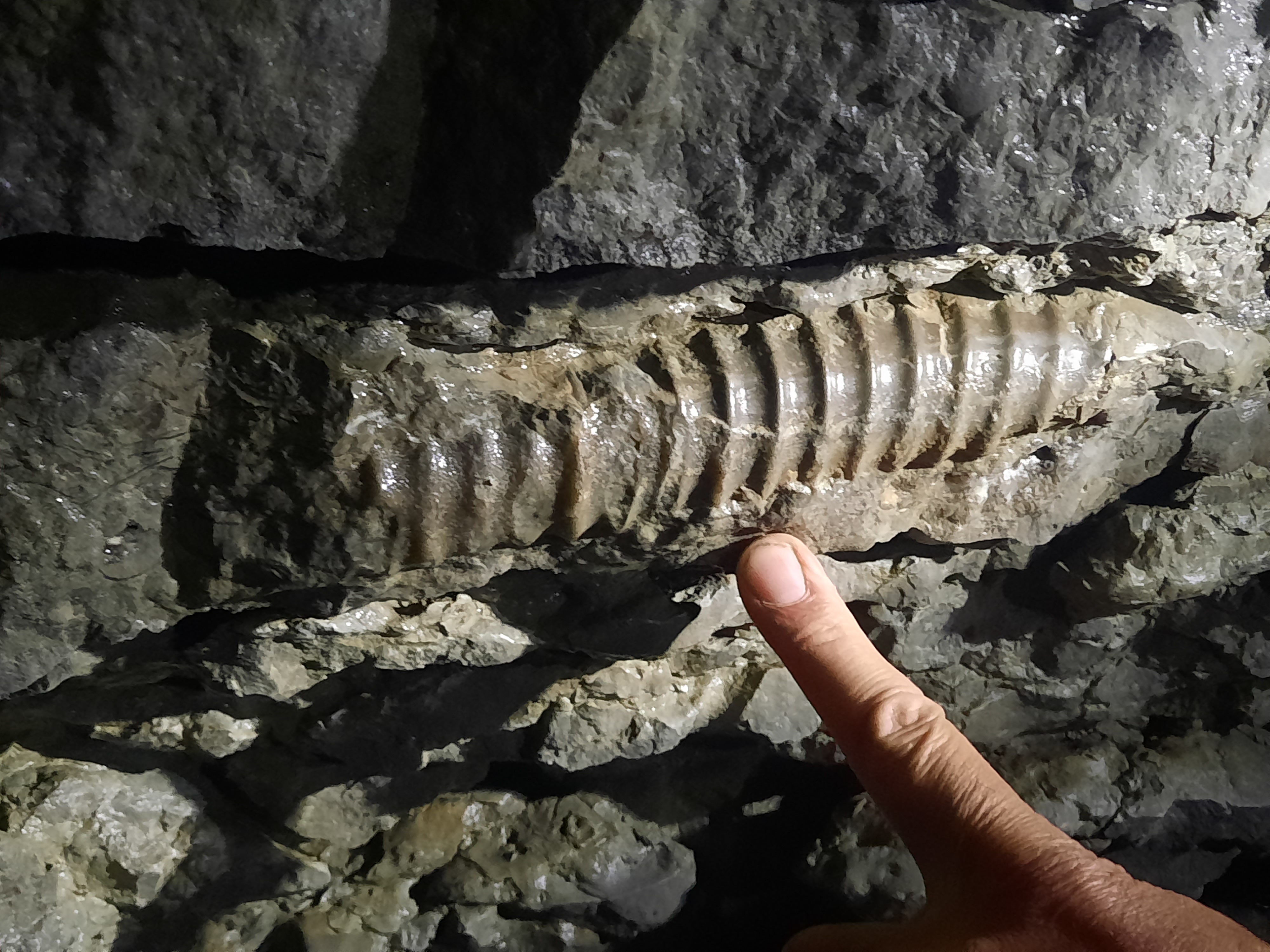 Martin Archambault Grotte à la Patate