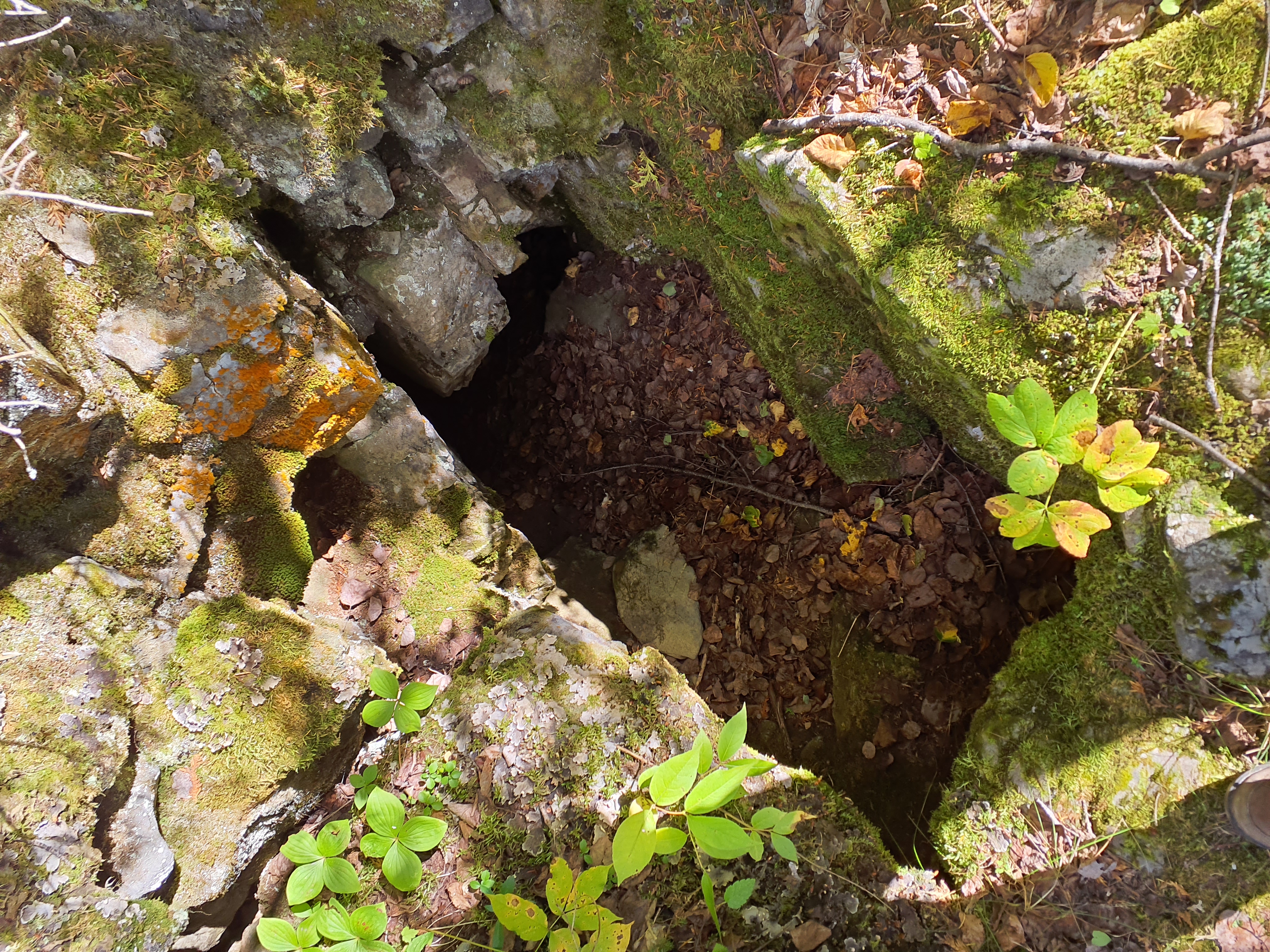 Marie-Claude McDuff Les Gélifracts Est